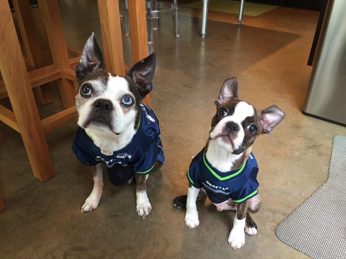 Go Seahawks!