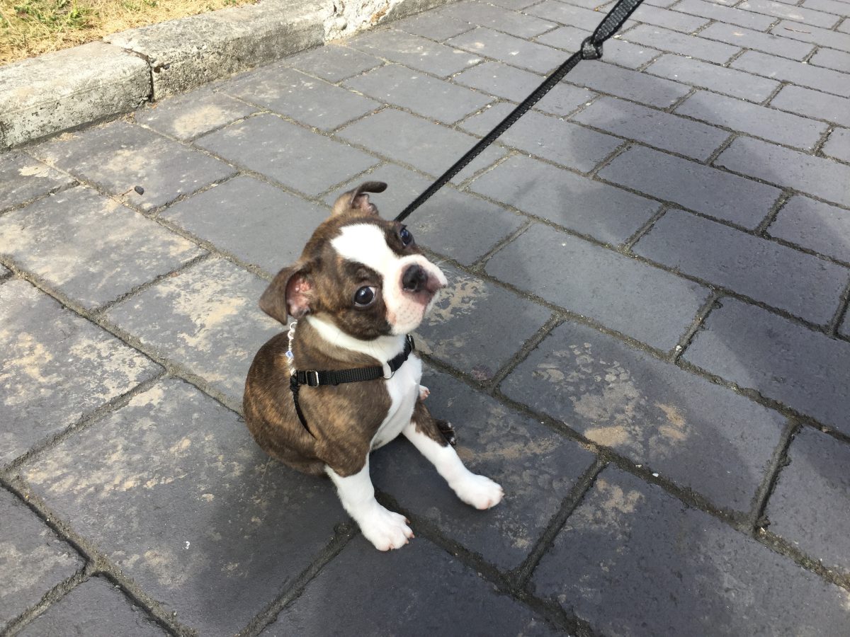 First walk!