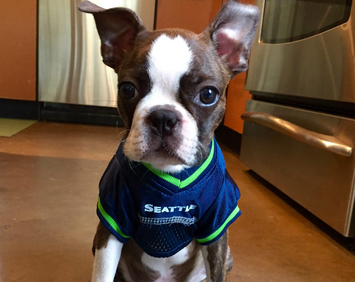 Ready for Seahawks!