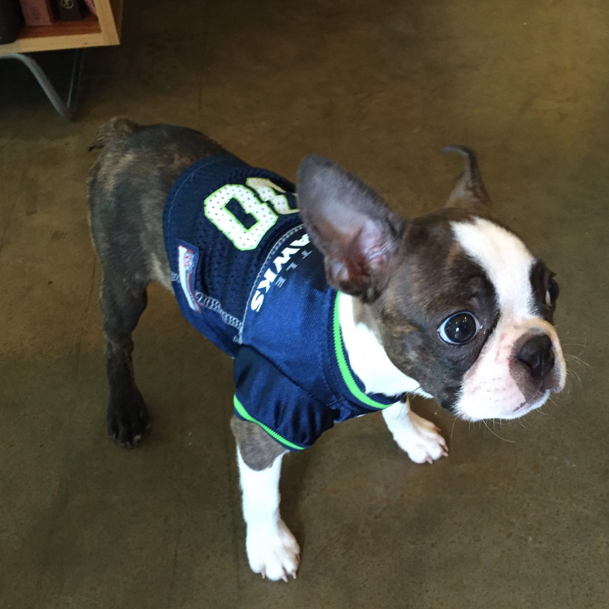 Nervous Hawks fan